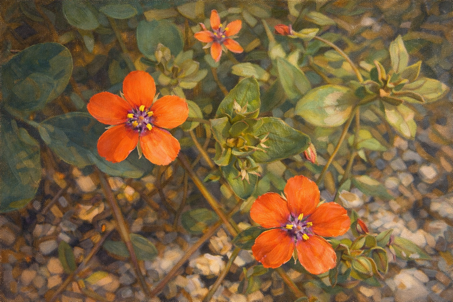 Een deur naar hoop, ook voor mij